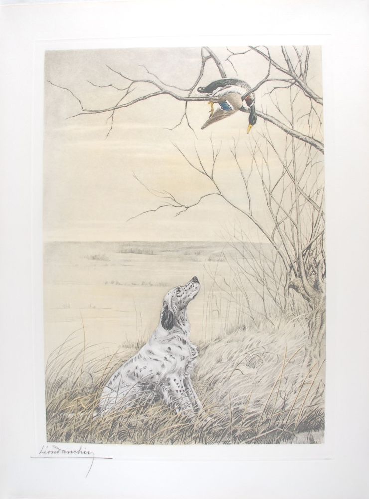 Gravure Danchin - Setter et Canard branche - English Setter and Duck in a tree (Original)