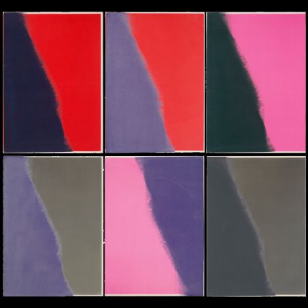 Sérigraphie Warhol - Shadows II Complete Portfolio
