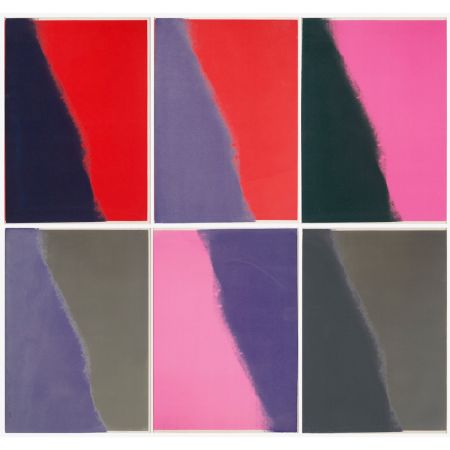 Sérigraphie Warhol - Shadows II Complete Portfolio