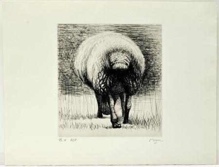 Eau-Forte Moore - Sheep back view