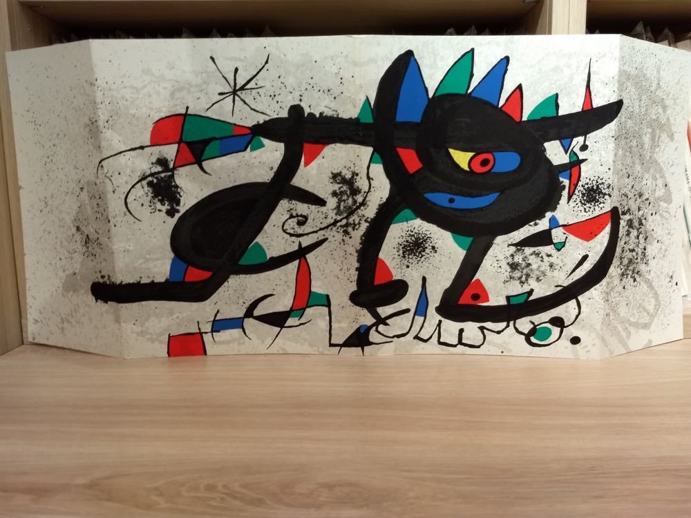 Livre Illustré Miró - Sobreteixims