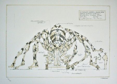 Lithographie Delarozière - Spider - mecanique savante - Liverpool  La machine