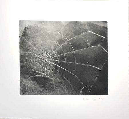 Sérigraphie Celmins - Spider Web 
