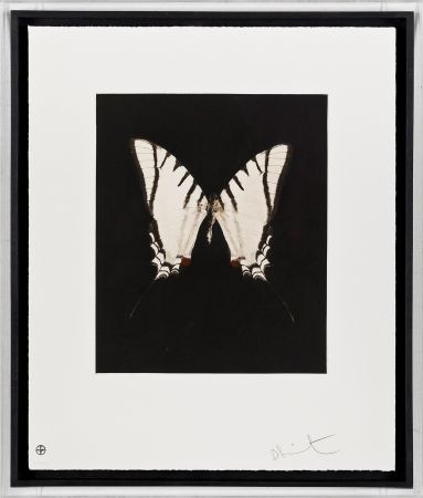 Gravure Hirst - Spirit