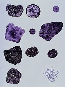 Lithographie Brown - Sponge, seaweed & Coral