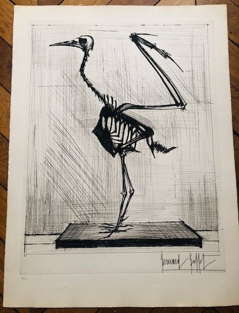 Gravure Buffet - Squelette d'oiseau