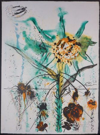 Lithographie Dali - Sun Goddess Flower