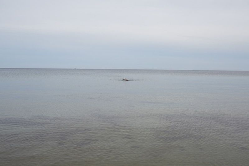 Aucune Technique Teller - Swimming, Glemmingebro, Sweden 2015