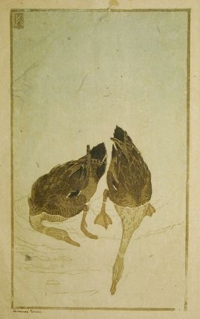 Gravure Sur Bois Klemm - Tauchende Enten (Diving Ducks)