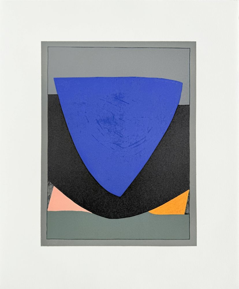 Lithographie Vasarely - Tecoma