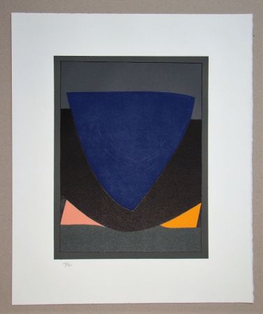 Lithographie Vasarely - Tecoma