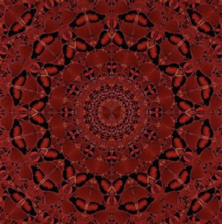 Multiple Hirst - The Empresses (H10-4 Suiko)