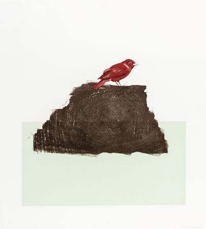 Gravure Sur Bois Drummond - The Northern Cardinal (or Redbird)