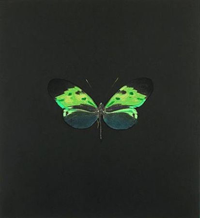 Eau-Forte Hirst - The Souls on Jacob's Ladder Take Their Flight (Small Green)