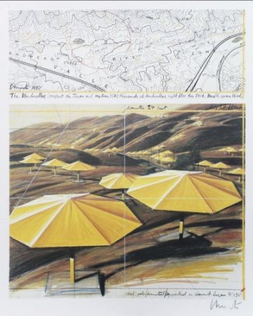 Multiple Christo - The Umbrellas