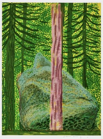 Aucune Technique Hockney - The Yosemite Suite No. 19 is a iPad drawing printed in colour by David Hockney