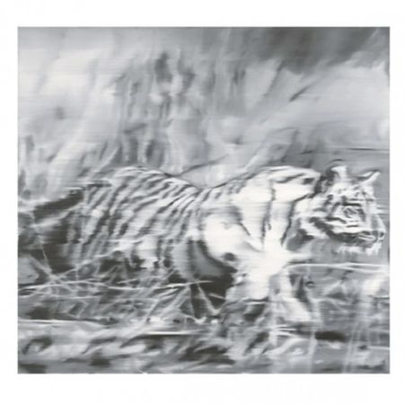 Offset Richter - Tiger