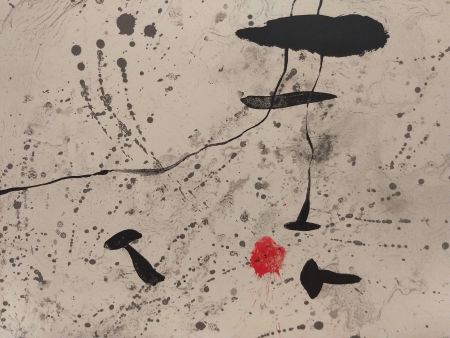 Livre Illustré Miró - Trace Sur l'eau