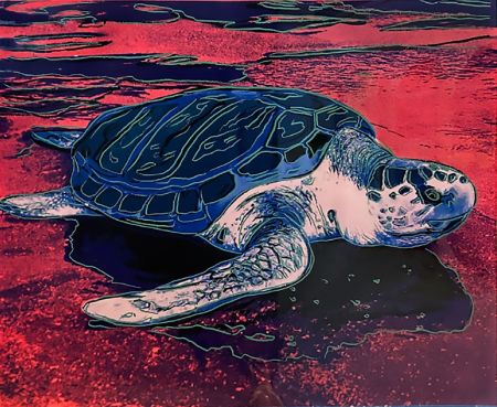 Sérigraphie Warhol (After) - Turtle