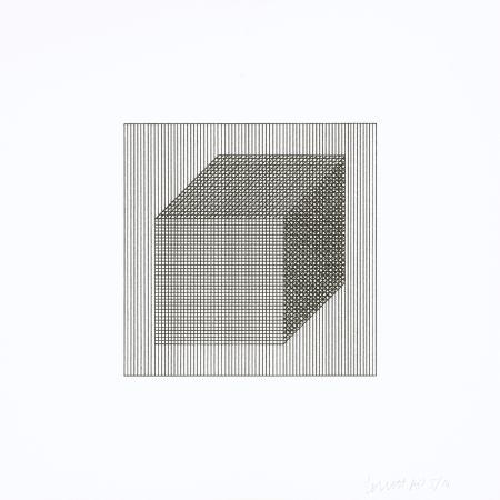 Sérigraphie Lewitt - Twelve Forms Derived From a Cube 02