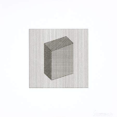 Sérigraphie Lewitt - Twelve Forms Derived From a Cube 18
