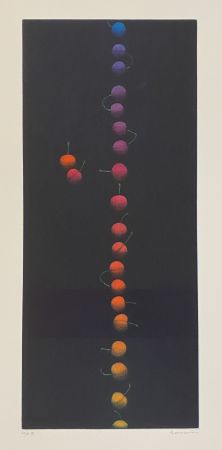 Manière Noire Hamaguchi - Twenty-Two Cherries (multicolor)