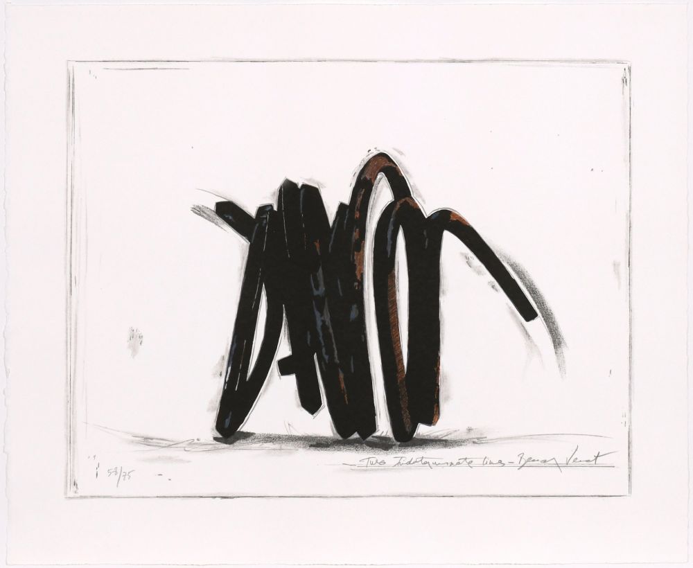 Sérigraphie Venet - Two indeterminate lines