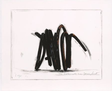 Sérigraphie Venet - Two indeterminate lines