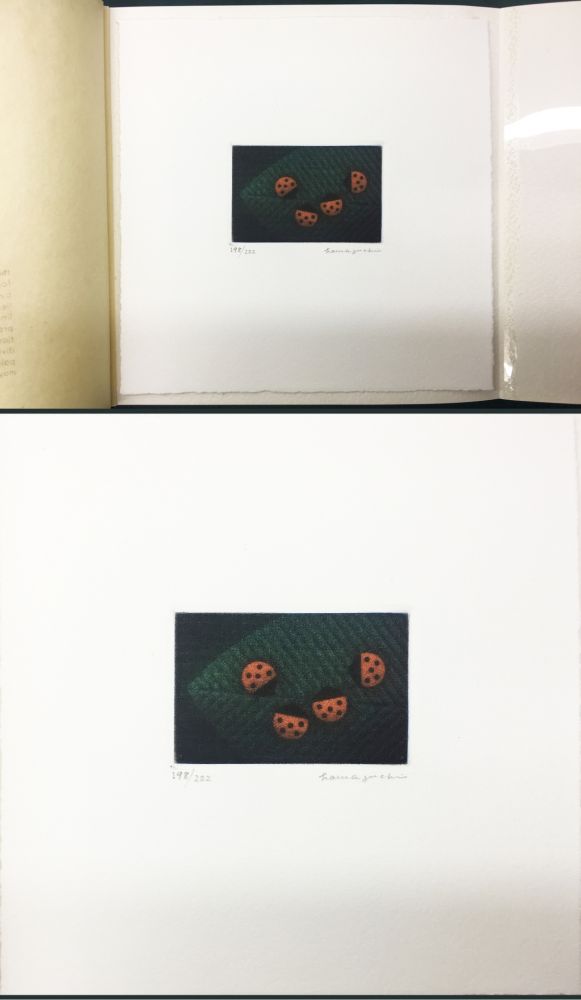 Manière Noire Hamaguchi - Two Pairs (Ladybirds). signed. with the original book (1976)