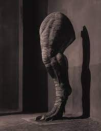 Photographie Fontcuberta - Tyrannosaurus rex