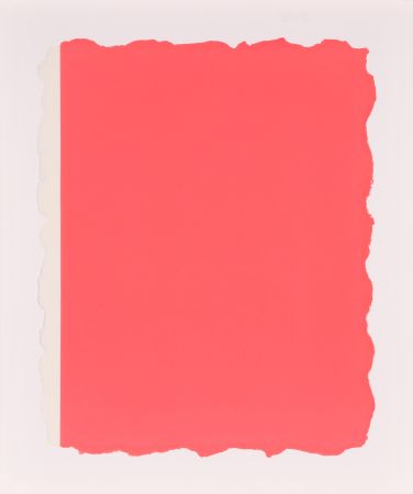 Aquatinte Flavin - Untitled, from Sequences - Pink