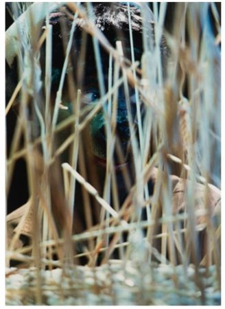 Photographie Cindy - Untitled (from The Portfolio for Joseph Beuys)