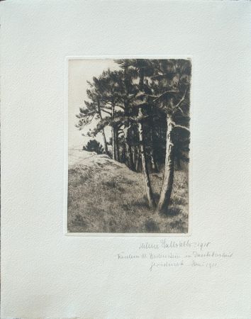 Pointe-Sèche Haasbauer-Wallrath - Untitled (Kiefern am Waldrand)