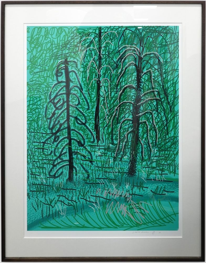 Aucune Technique Hockney - Untitled No.16 from The Yosemite Suite