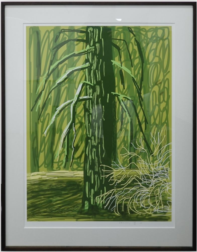 Aucune Technique Hockney - Untitled No.18 from The Yosemite Suite