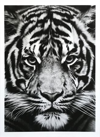 Aucune Technique Longo - Untitled (Tiger)