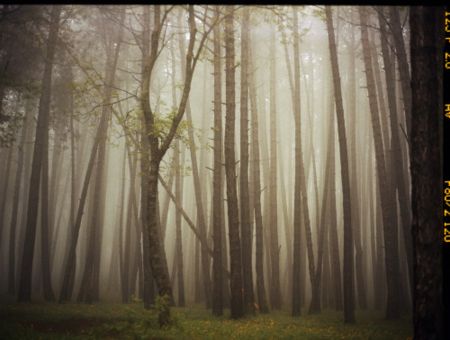 Photographie Sitchinava - Upslope Fog in May