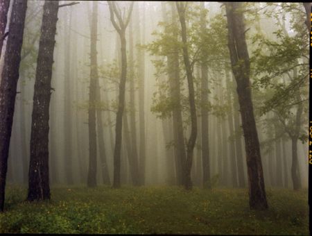 Photographie Sitchinava - Upslope Fog in May 2