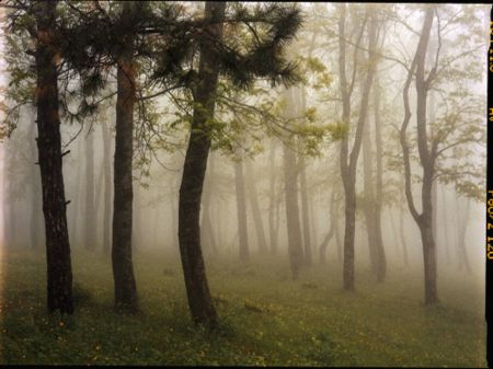 Photographie Sitchinava - Upslope Fog in May 3