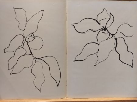 Livre Illustré Matisse - Vence