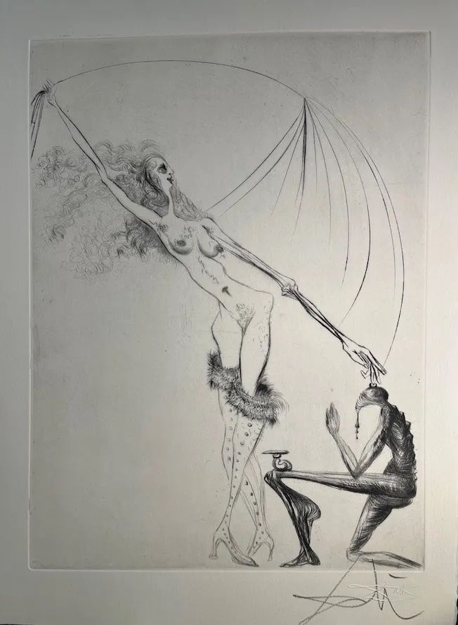 Pointe-Sèche Dali - Venus a la fourrure