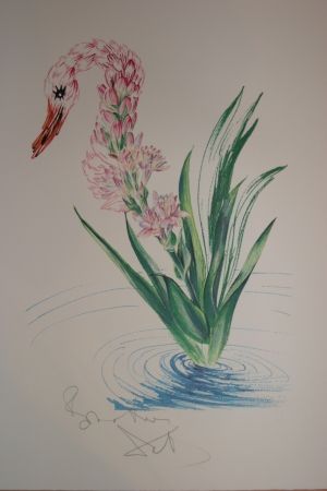 Lithographie Dali - Water-Hybiscus Swan (surrealistic flowers)