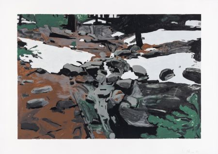 Sérigraphie Van Den Broeck - Waterfall