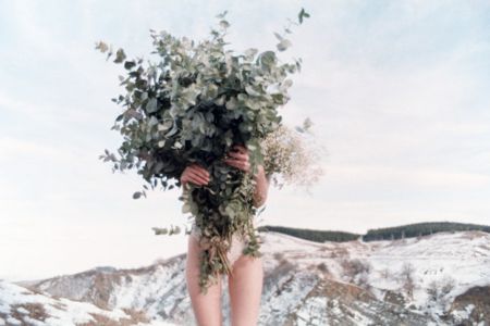 Photographie Sitchinava - Winter Bouquet