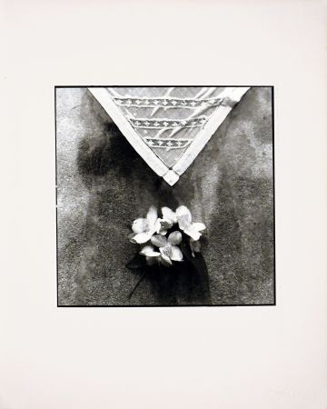 Photographie Catany - Xeringuilla