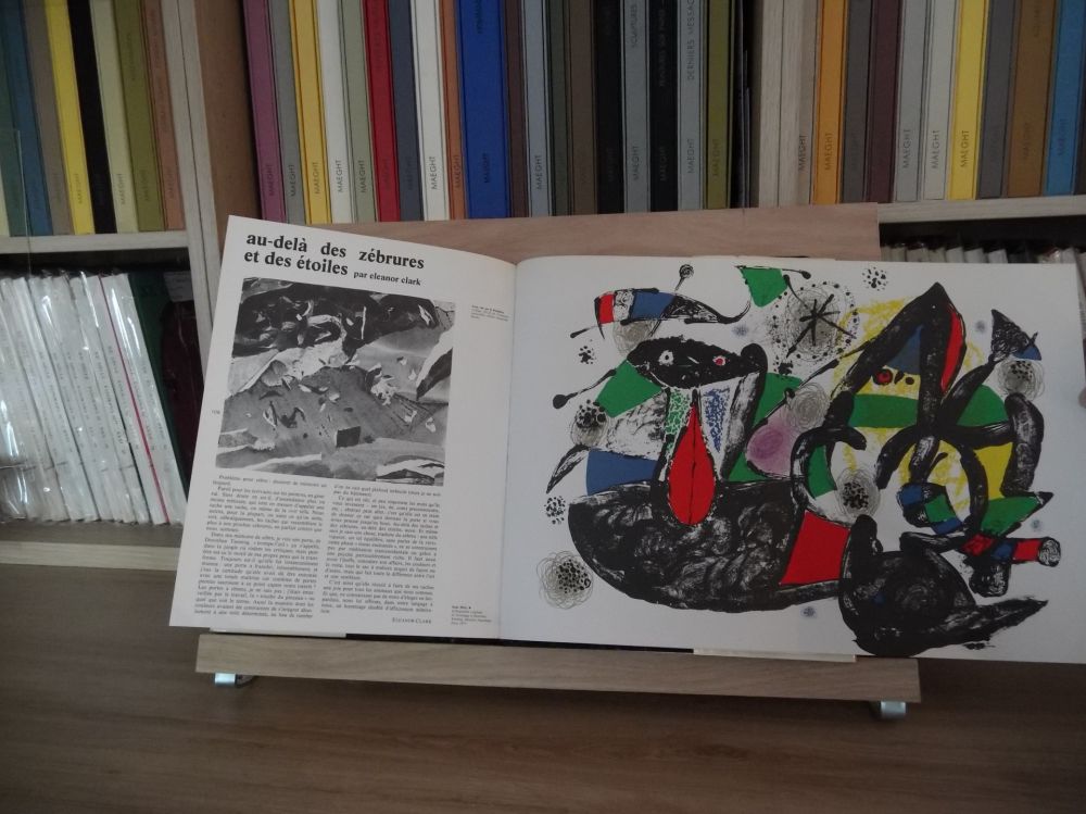 Livre Illustré Miró - Xxe Tanning