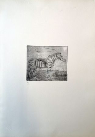 Pointe-Sèche Ligabue - Zebra