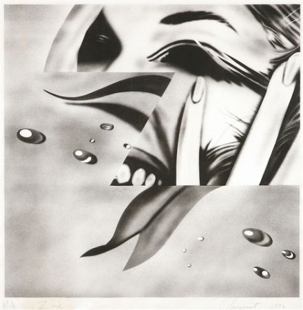 Lithographie Rosenquist - Zone