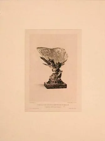 Gravure Buhot - Coquille de girasole