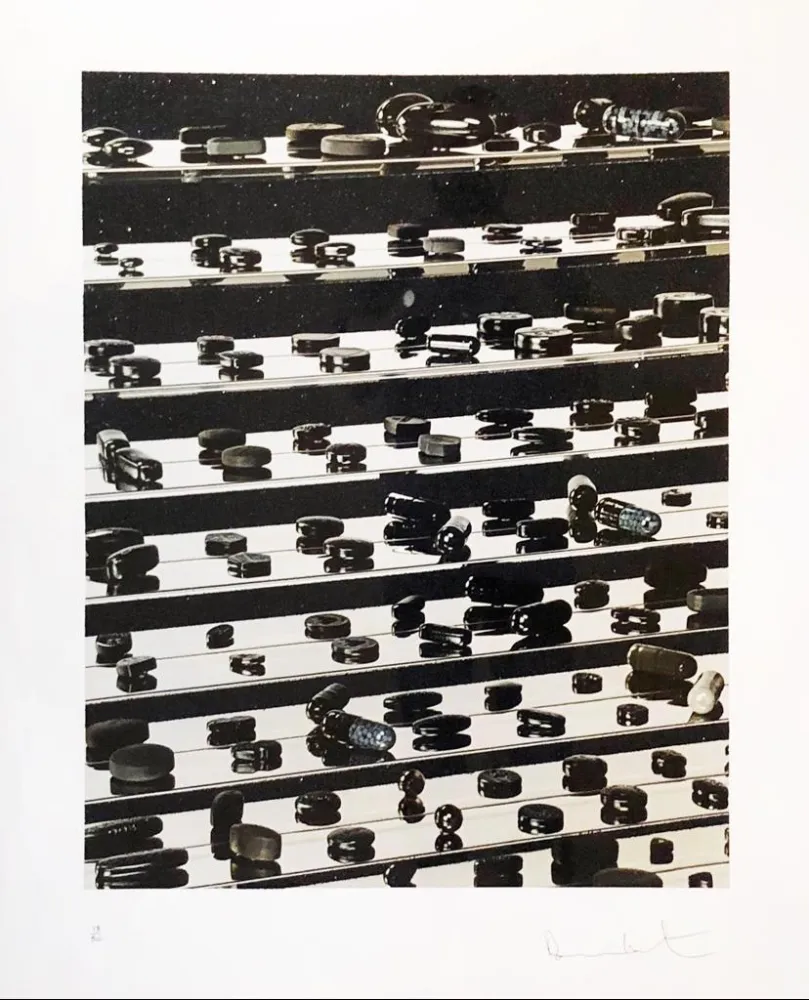 Aucune Technique Hirst - Dead Black Brilliant Utopia